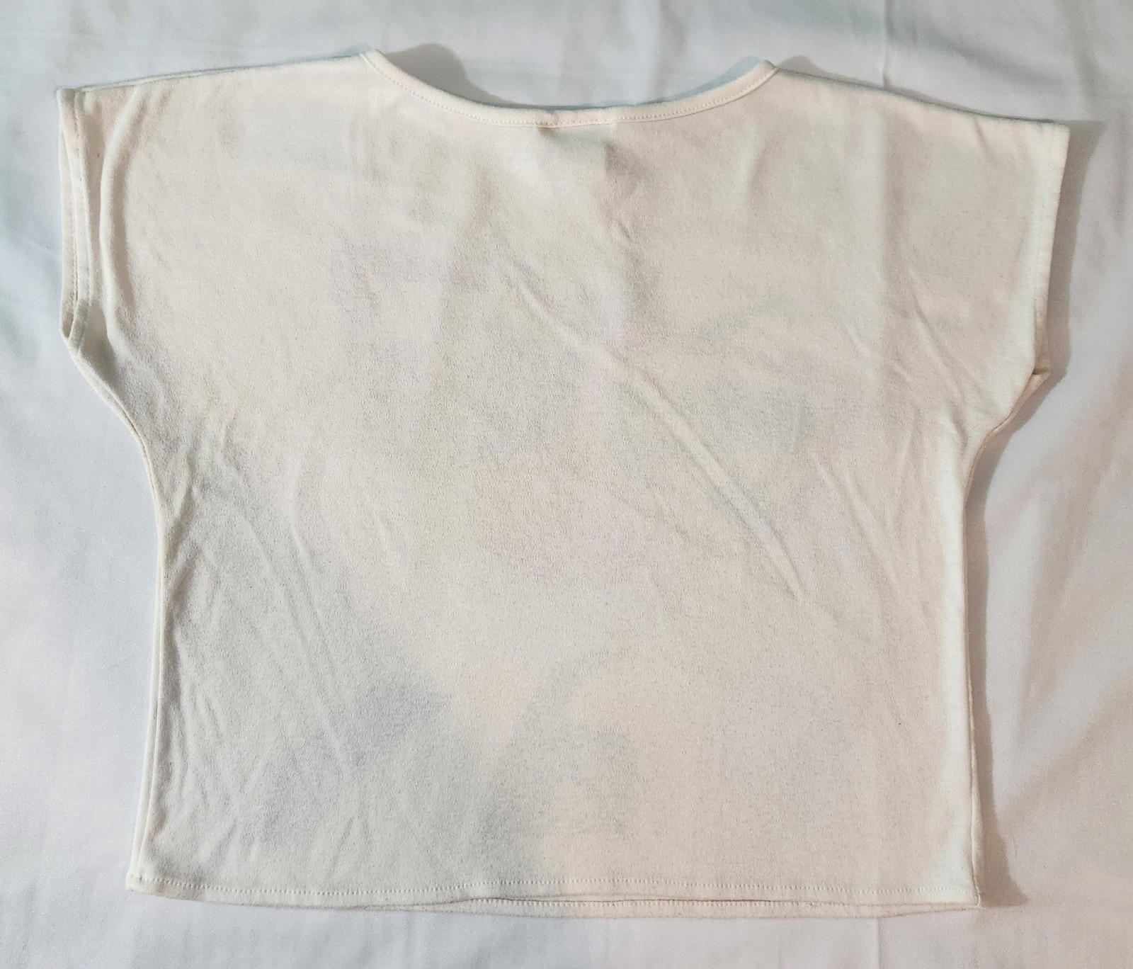 Vintage BJ Frog Womens Crop Top Shirt Sz Small 1986 Sylvester And Tweety Beach