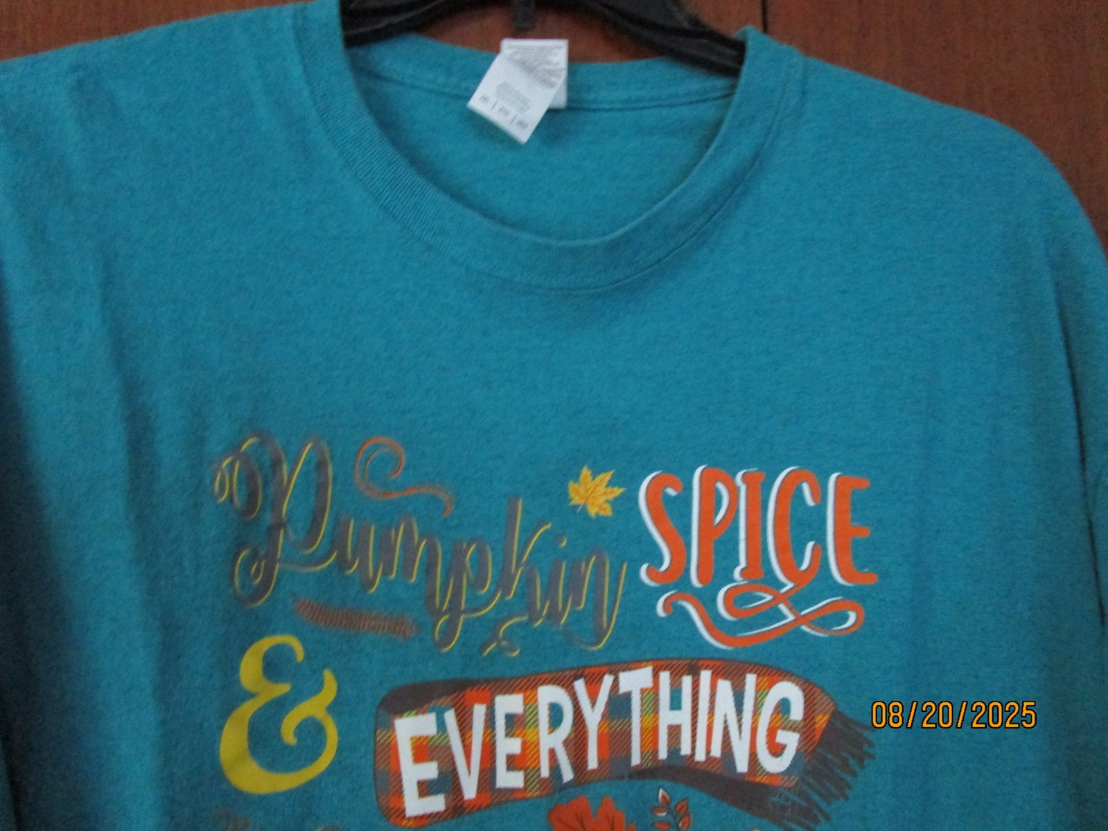 Pumpkin Spice Fall Tee T-shirt Sz 2XL Cotton Polyester Bust 51 Length 29 in