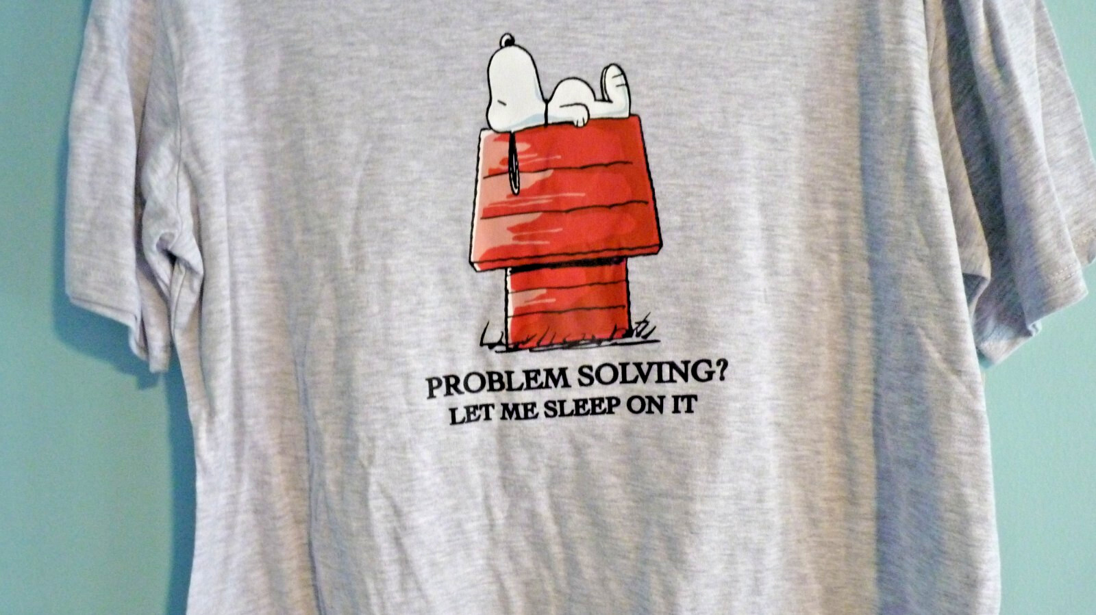 Peanuts Snoopy & LINUS -PROBLEM SOLVING- GRAY SIZE LARGE NWT