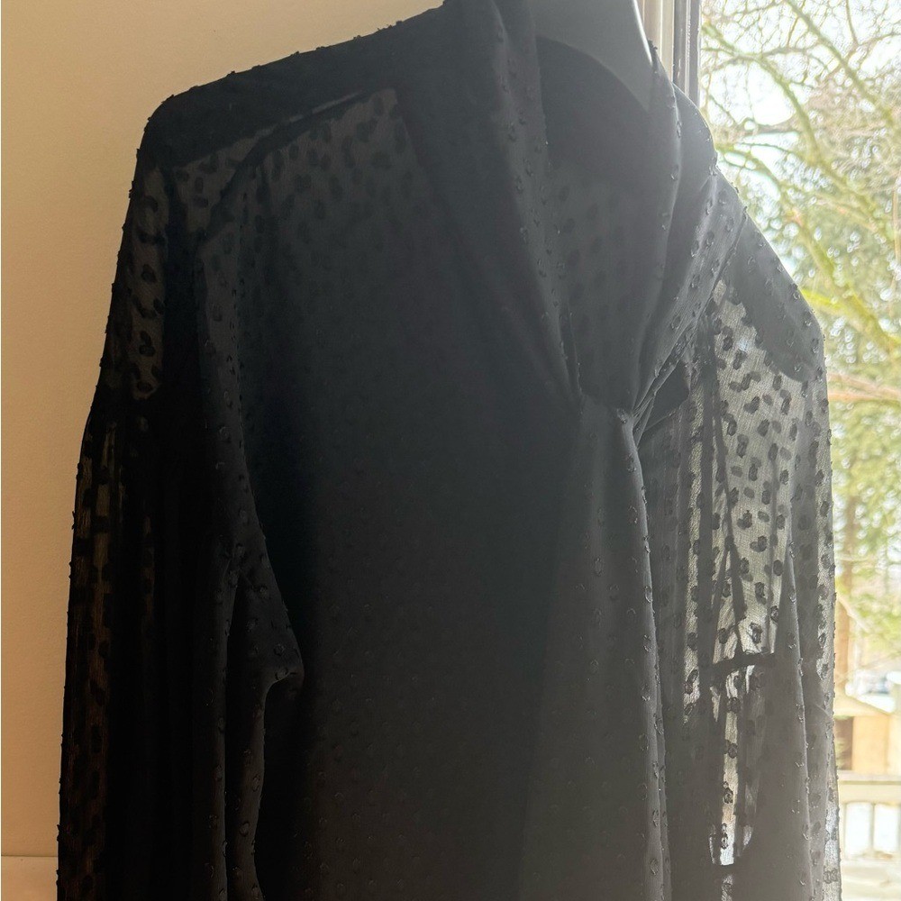 H&M Sheer Black Polka Dot Blouse with Bow Tie