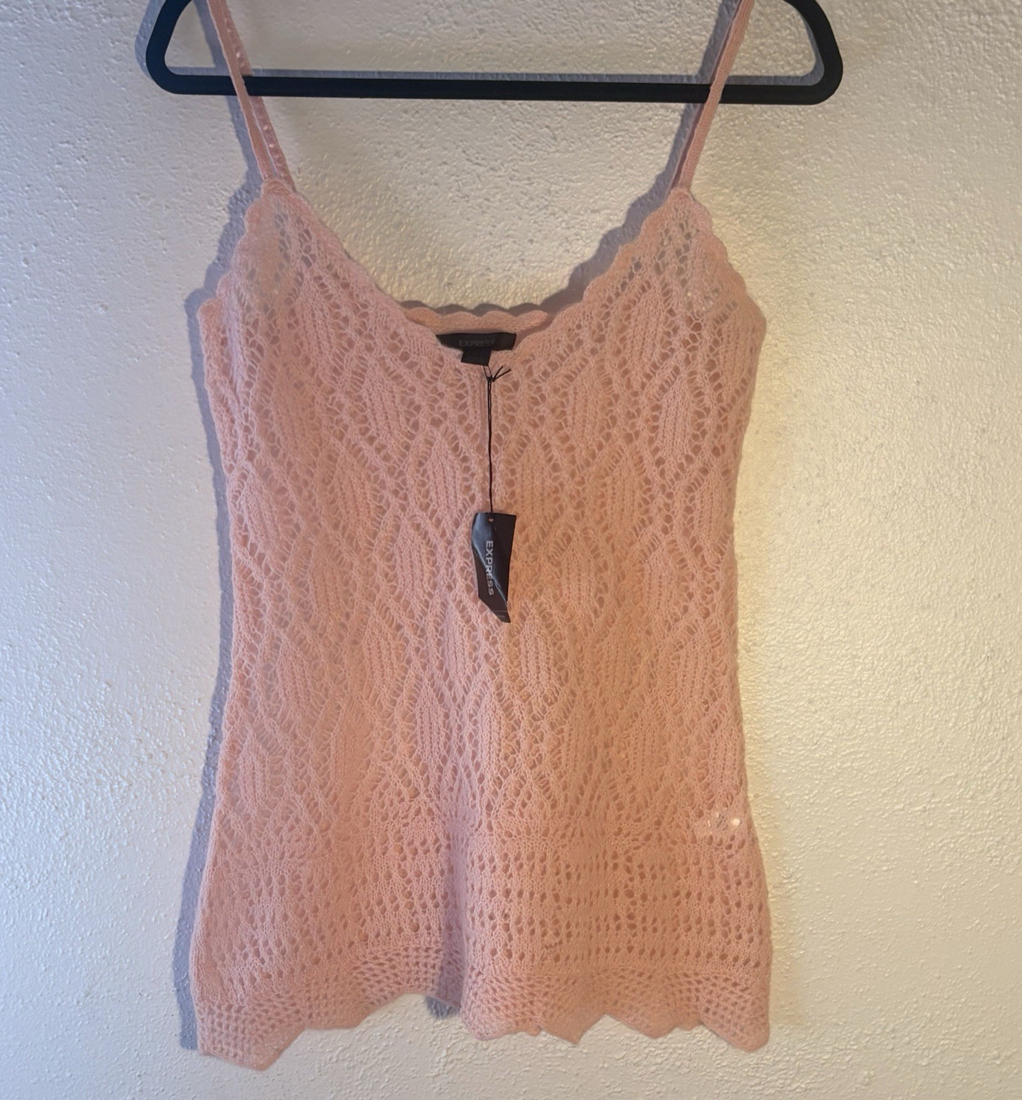 Express Pink Wool Nylon Mohair Feminine Fairy Top NWT Size L