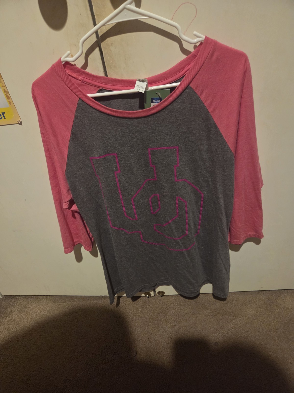 District Pink and Gray Raglan
