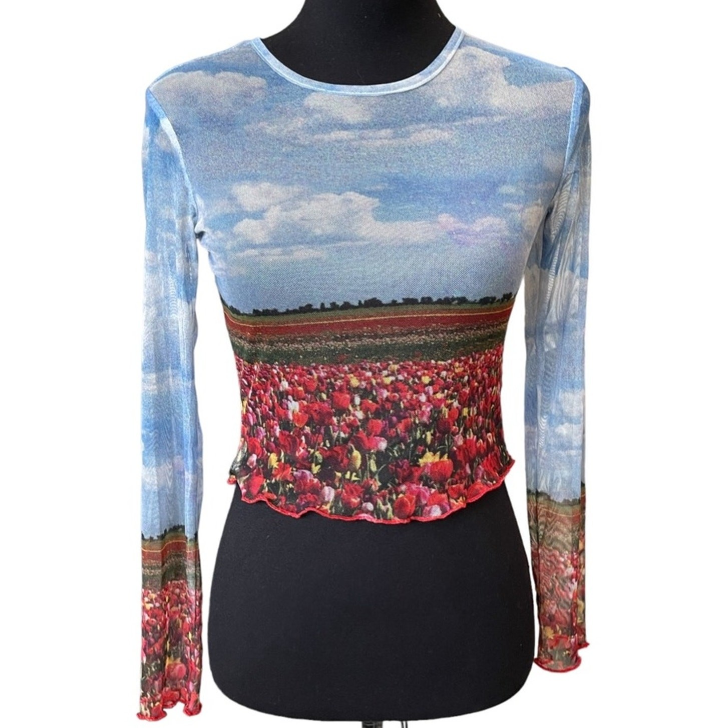New ~ VINTAGE SUPPLY ~ 90s / Y2K Flower Field Print Sheer Top 4 Ret $45