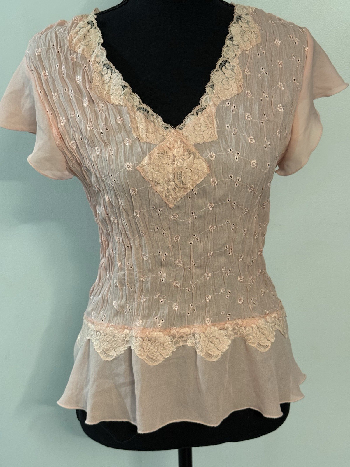 Sunny Taylor Women’s Pink Lace Trim Chiffon Blouse, V-Neck Flutter Sleeve, XL