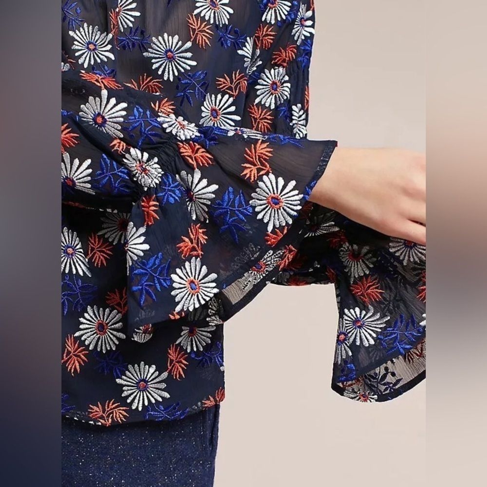 Ella Moss Anthropologie floral daisy embroidered long sleeve sheer blouse XS