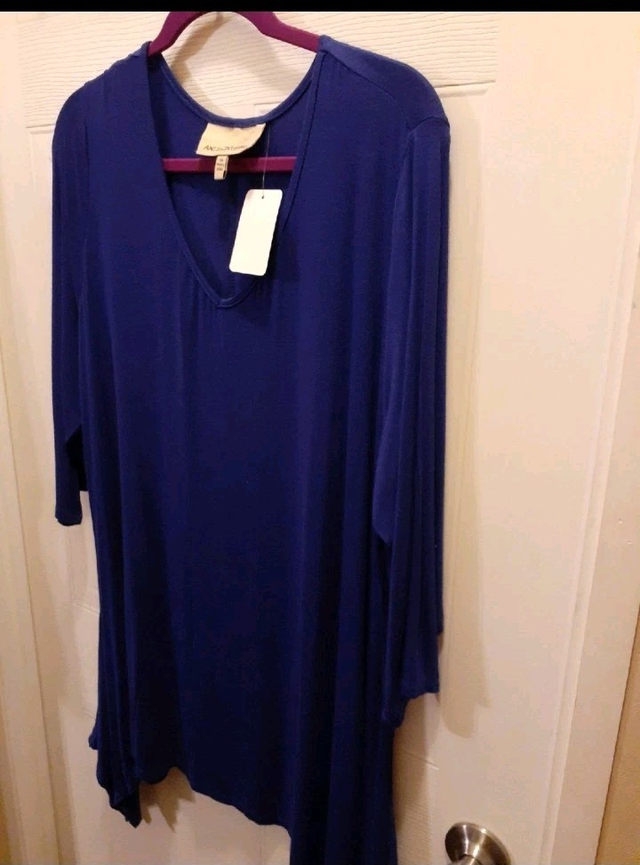 Antthony 1X Blue 3/4 Sleeve Top