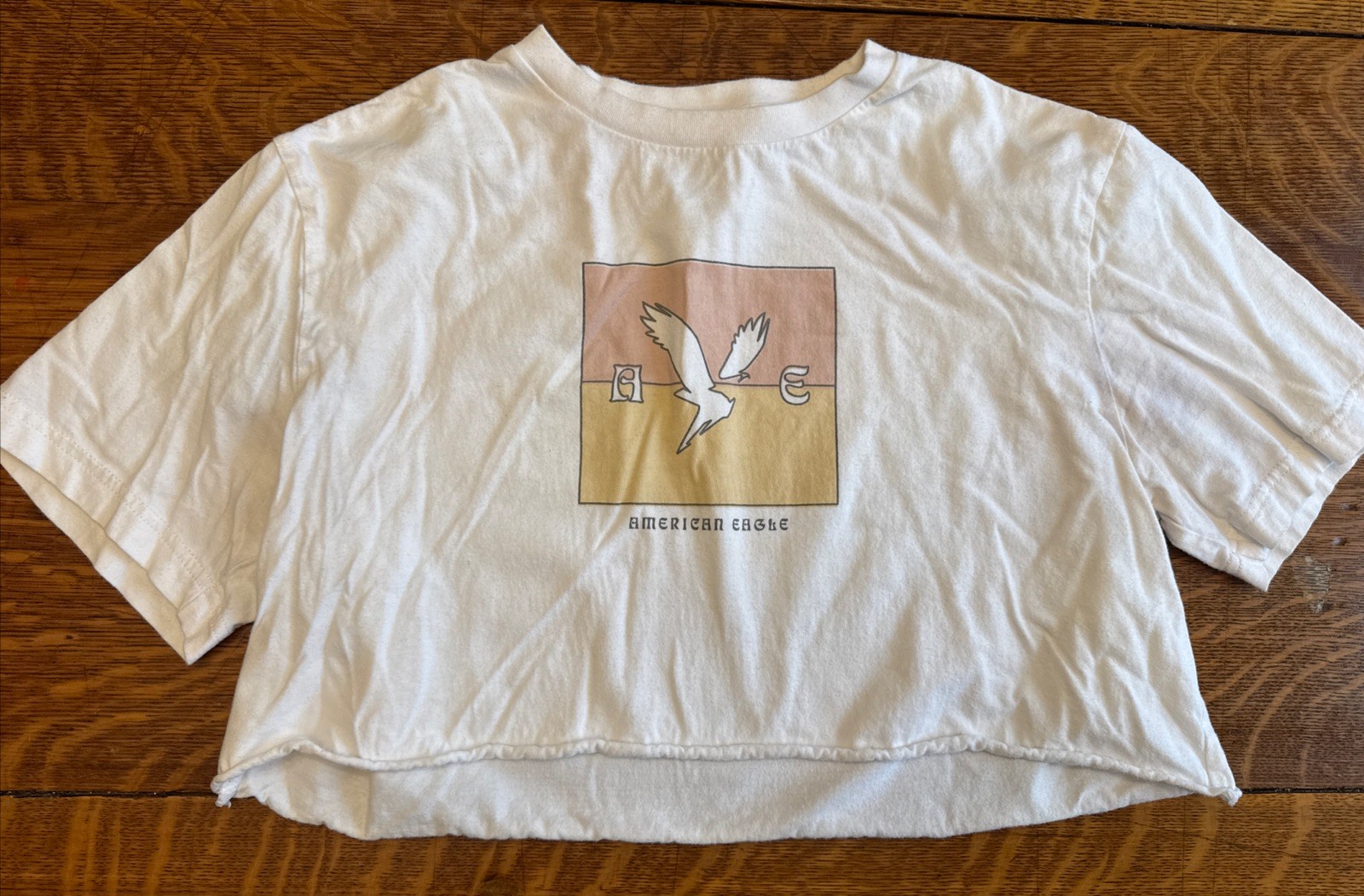 American Eagle Super Soft Standard Fit Cropped T Small