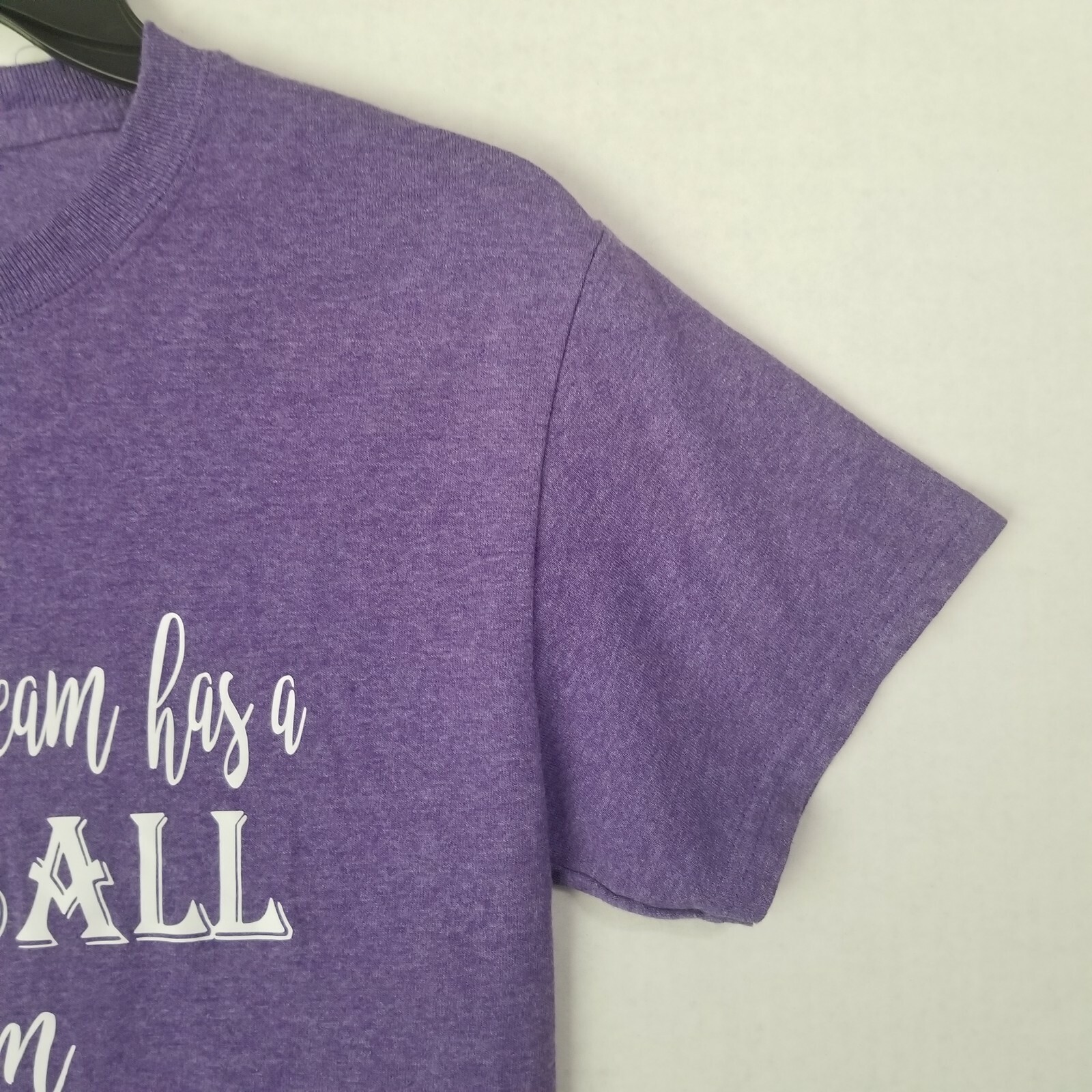 Gildan Drinking and/or Baseball Purple T-Shirt