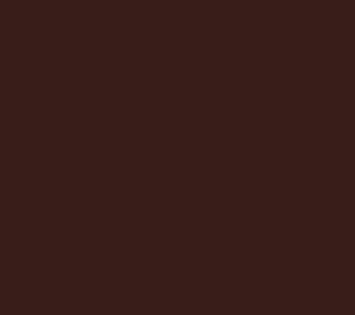LEGO Women’s Top Plus Sz 1X Make Your Selection: LOGO Lavish by Brown A732185