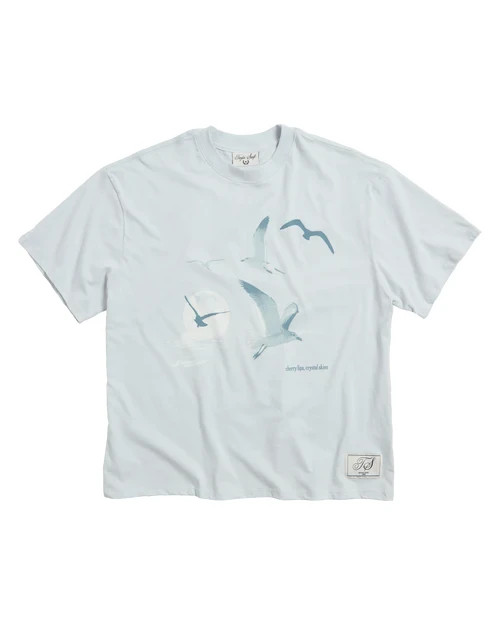 4XL 1989 (Taylor’s Version) Seagull Boxy T-Shirt