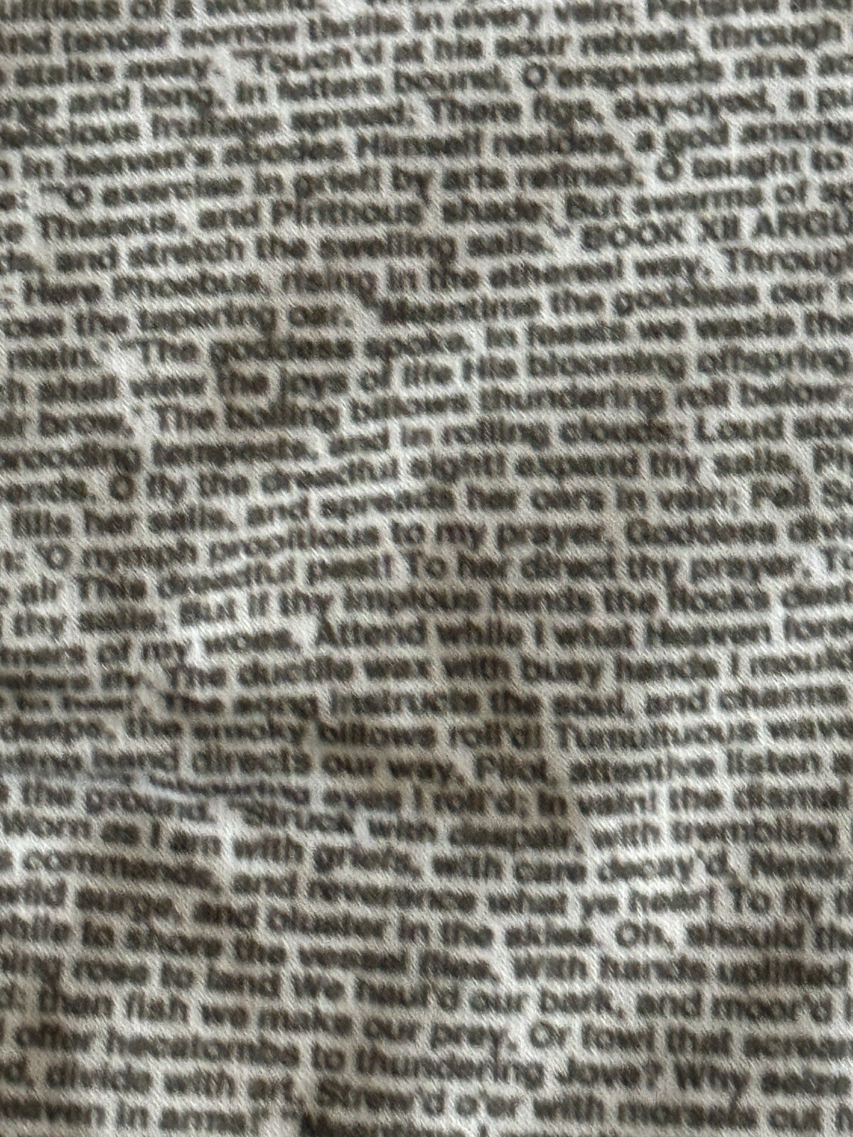 LITOGRAPHS The Odyssey text T shirt Homer ancient Greek epic poem Medium