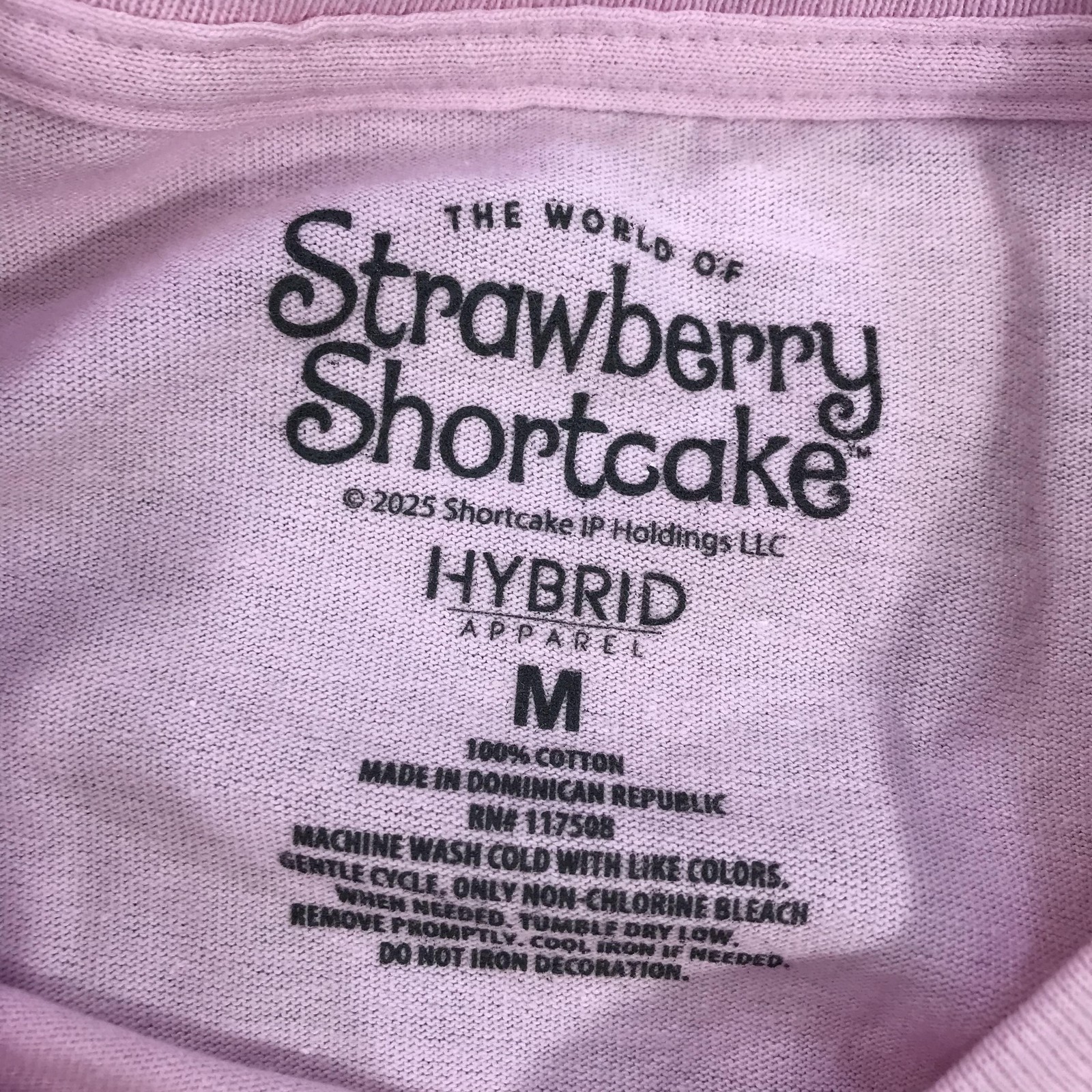 Hybrid Apparel Shirt Womens Medium Pink Strawberry Shortcake Graphic Tee Top NWT