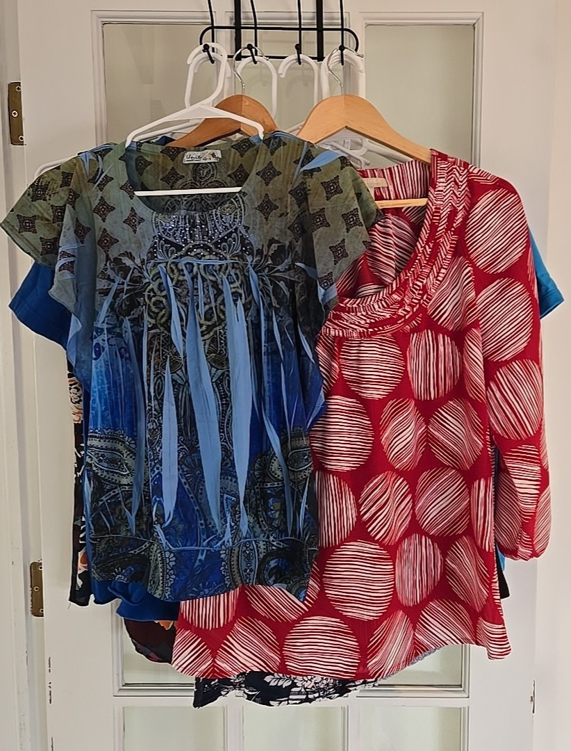 Resellers Bulk Lot of 12 Women’s Large Blouses Various Brands Multicolor