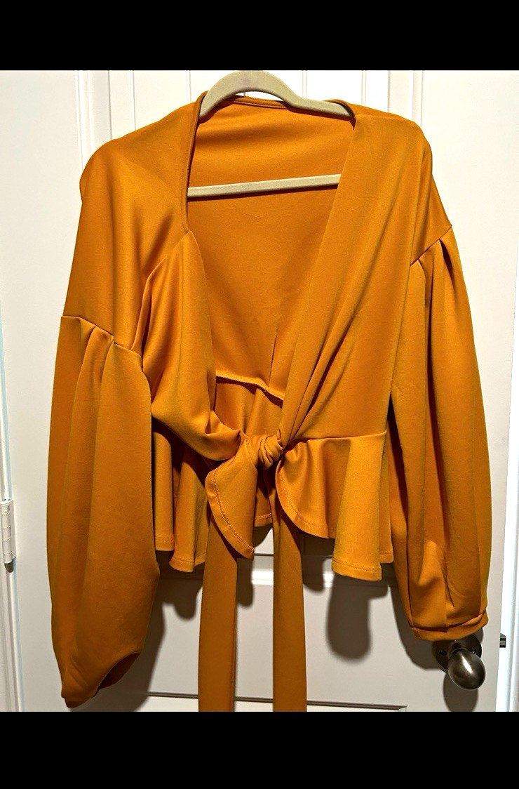 Women’s Brown Solid V-Neck Tie Front Ruffle Hem Long Sleeve Blouse L/XL