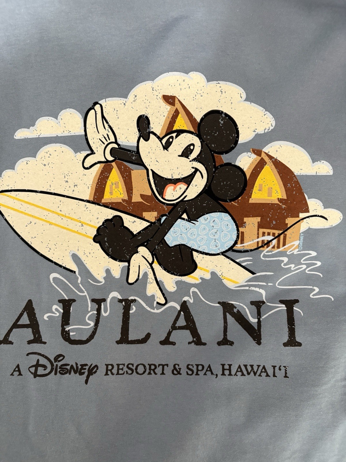 Disney Aulani Resort & Spa Hawaii Mickey Mouse Blue T-shirt Aloha XL Unisex