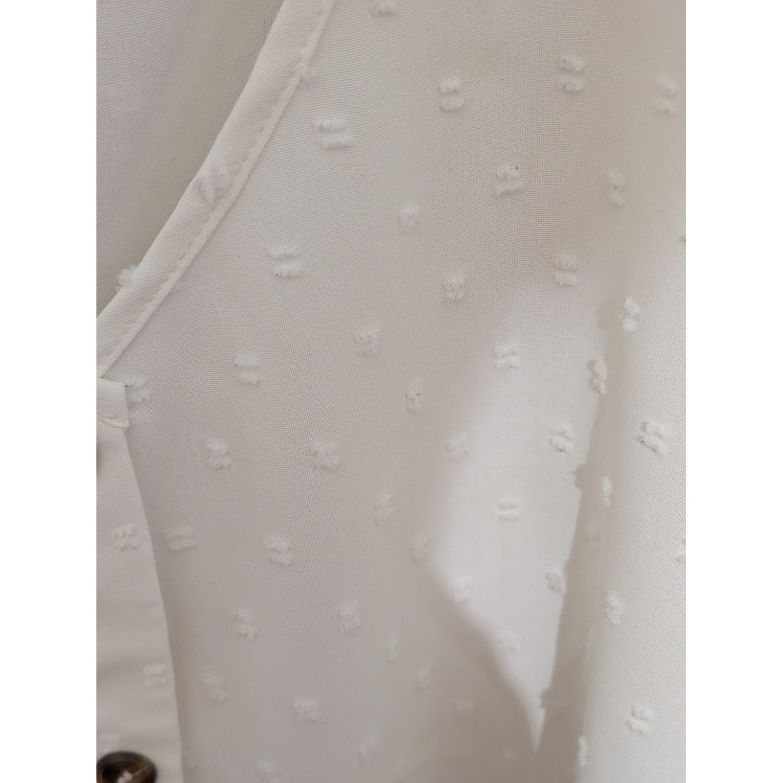 Bloomchic White Swiss Dot V-Neck Button Down Blouse Short Sleeve Plus Size 22-24
