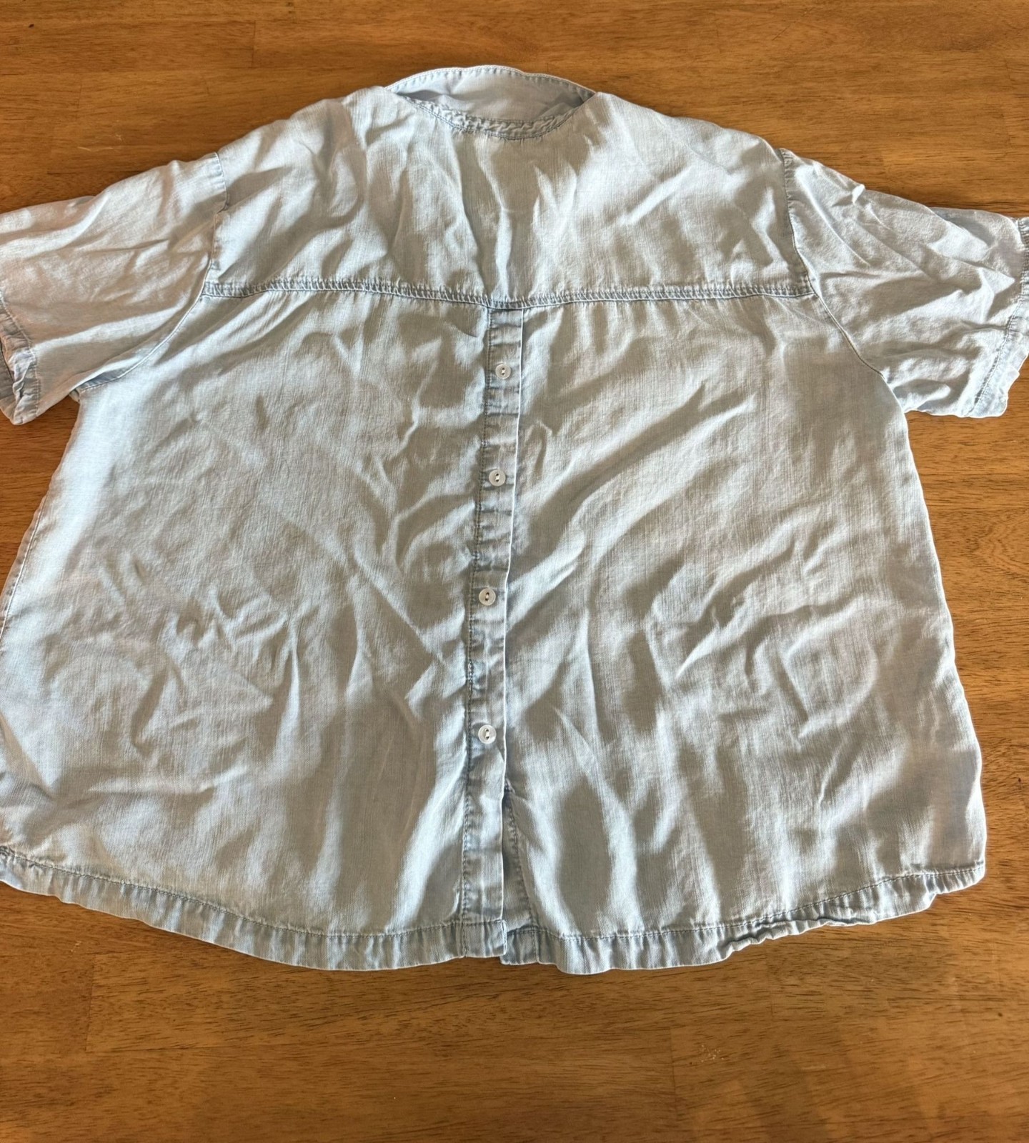 Jane + Delance XL Light Blue Chambray Short Sleeve Button-Up Shirt Back buttons