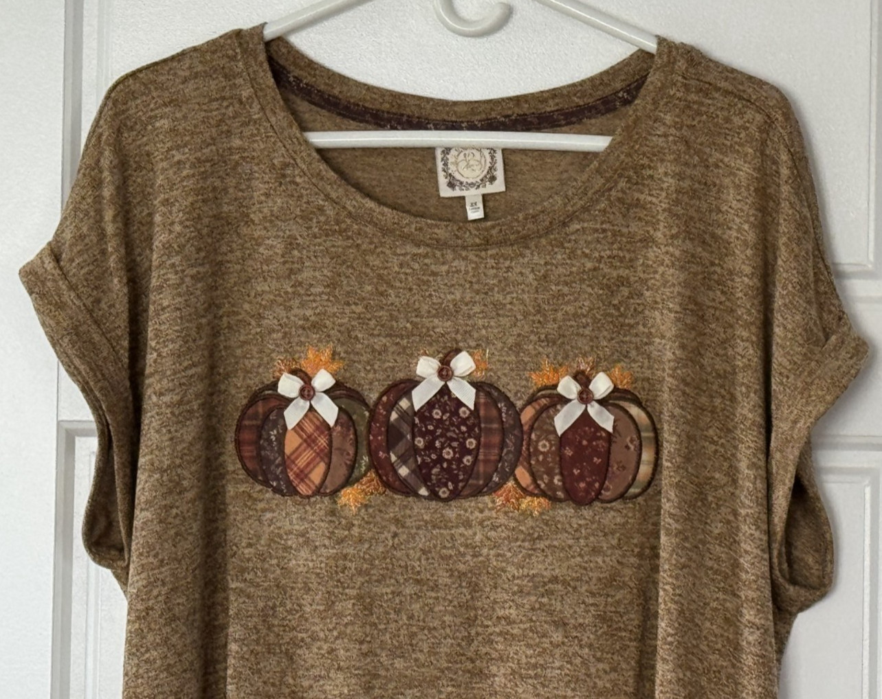 Women’s Plus Size Fall, Autumn Harvest Embroidered Pumpkin Tee, Size 2X – NWT!