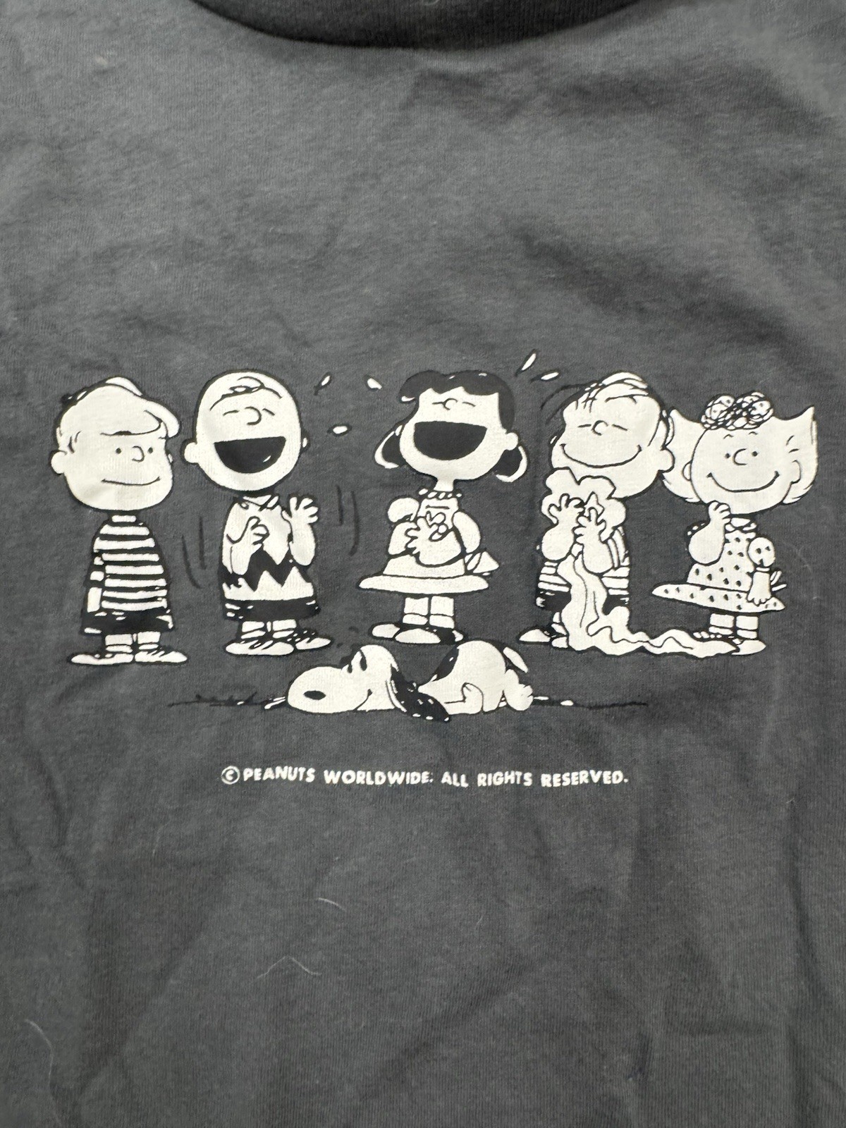 Peanuts Graphic T-Shirt Snoopy Charlie Brown Crew Gray S Hybrid Apparel