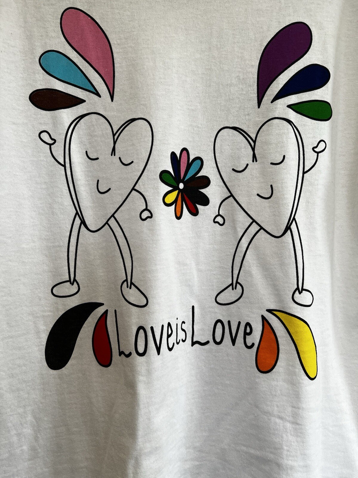NEW Diversity T Shirt White Age 14 15 LOVE IS LOVE Role Models Tags Rainbow