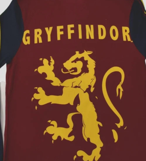 Harry Potter Juniors Gryffindor Hooded Long Sleeve Henley Hood Shirt NWT XS-2XL