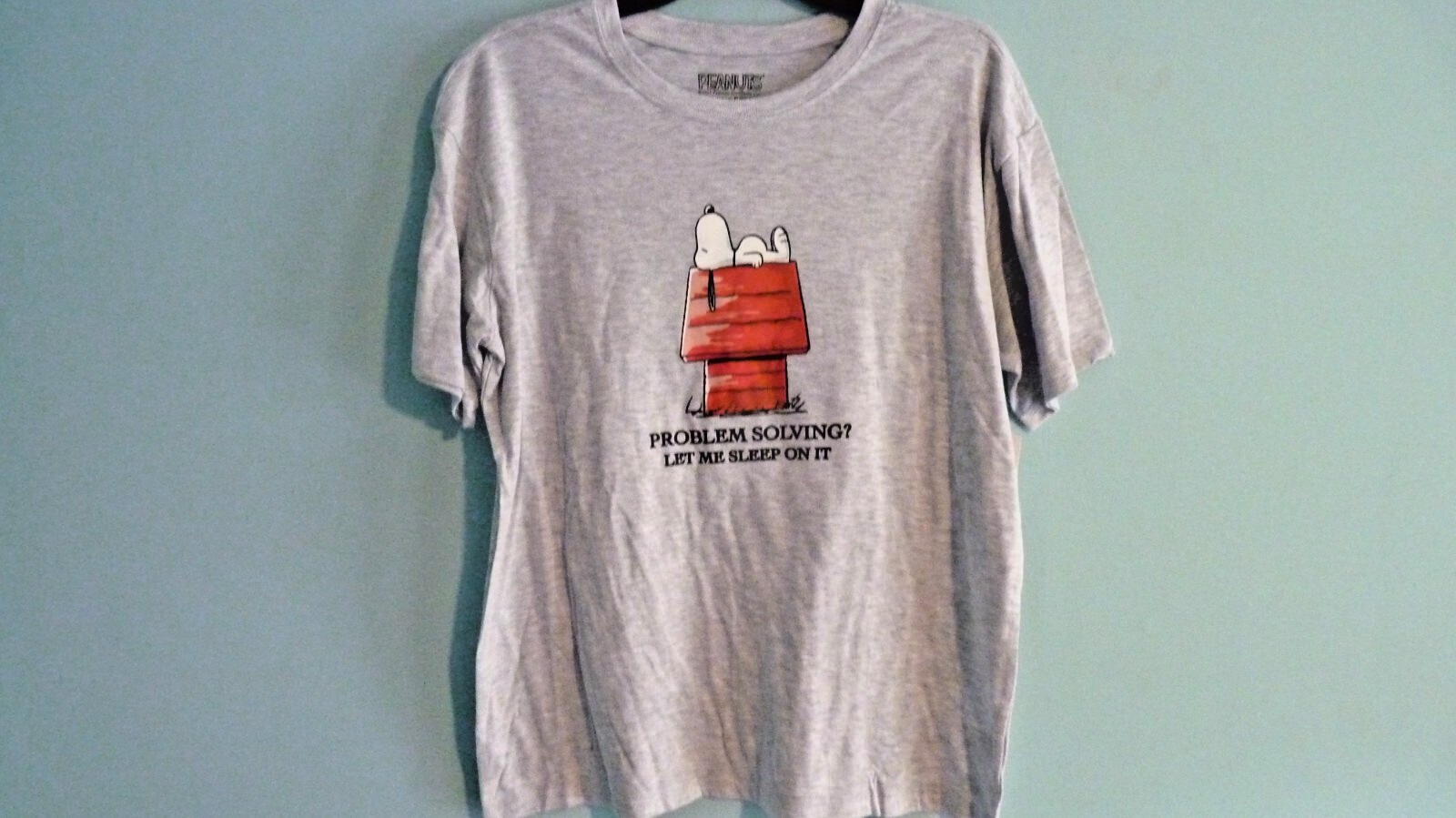 Peanuts Snoopy & LINUS -PROBLEM SOLVING- GRAY SIZE LARGE NWT