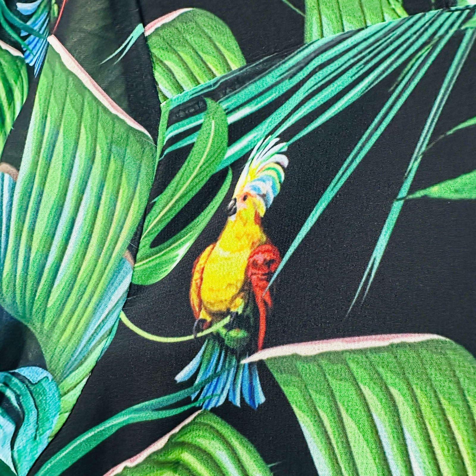 Virtuelle Blouse Top 14 Black Green Blue Birds Tropical Print Bell Sleeve Ruffle
