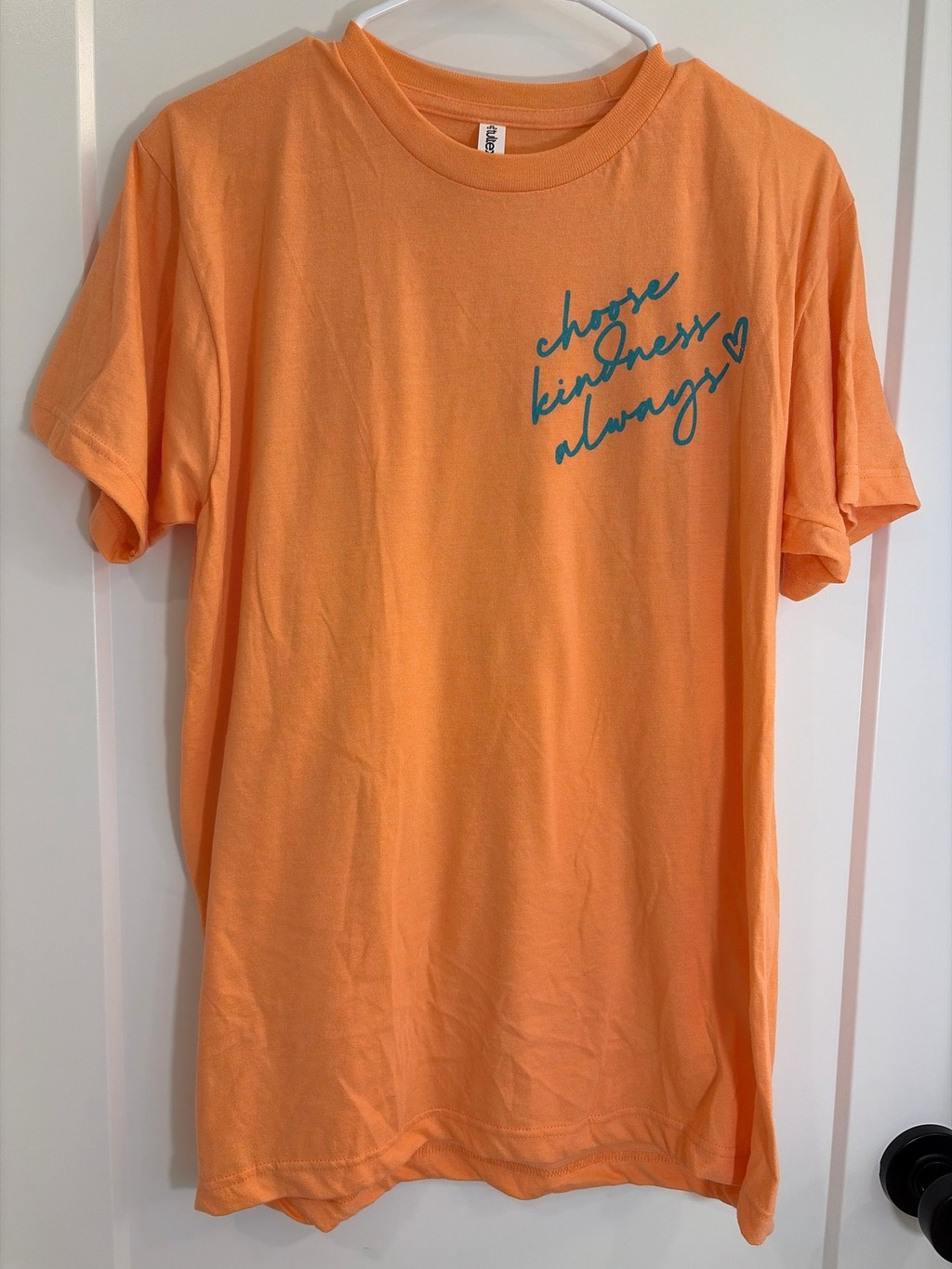 Tultex “Choose Kindness Always” Graphic T-Shirt – Orange/Teal Size Medium – EUC