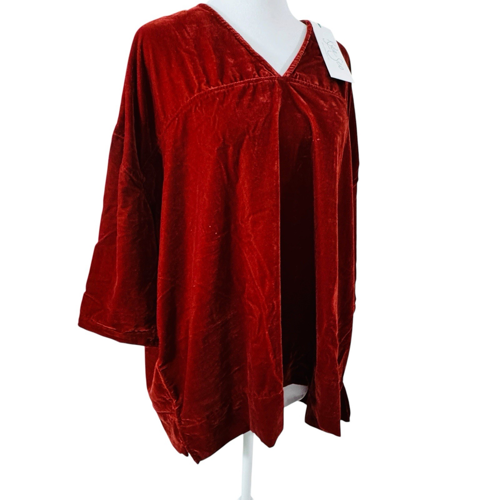 Kyla Seo Lux Velvet Esme Top Tunic Size S Caite Whimsigoth Oversized Red