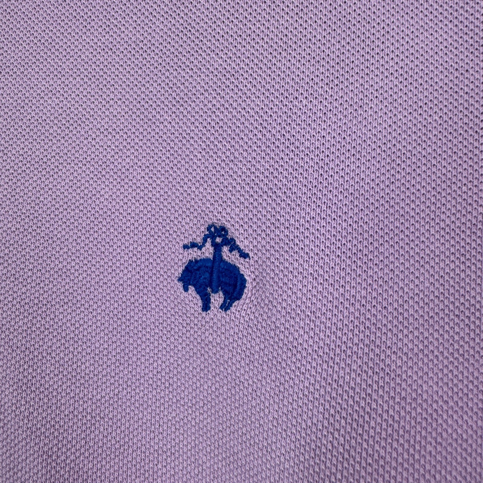 Brooks Brothers 346 Performance Polo Womens Large Purple Original Fit Cotton