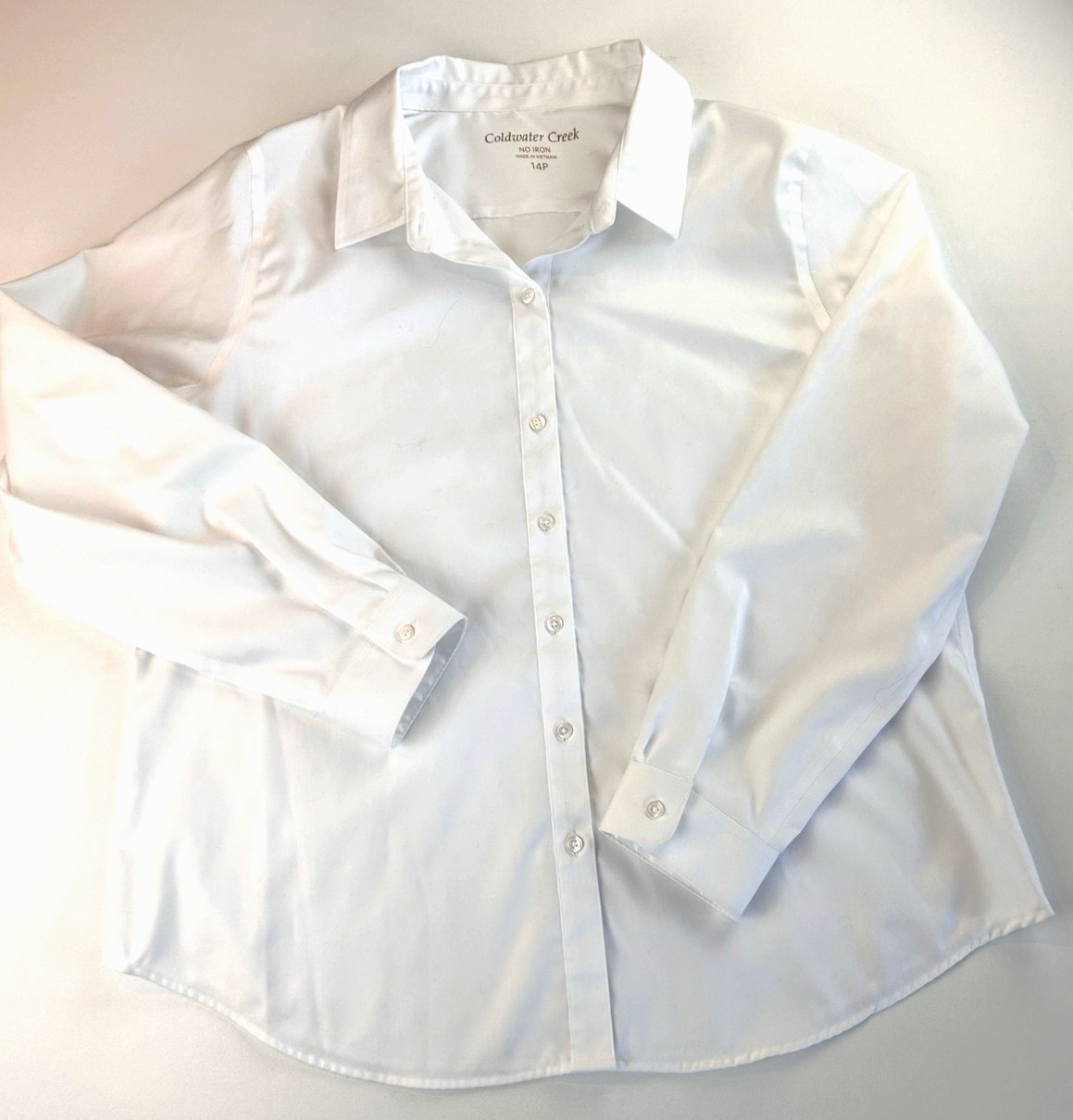 Coldwater Creek Non-Iron Classic Coastal Grandma Effortless Size 14P