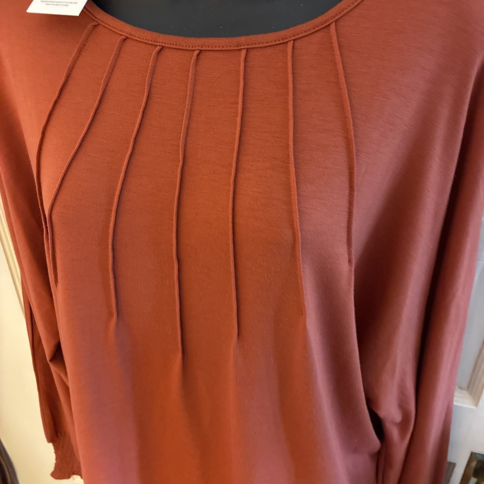 Women’s Long Sleeve Top XL Spice Color NWT