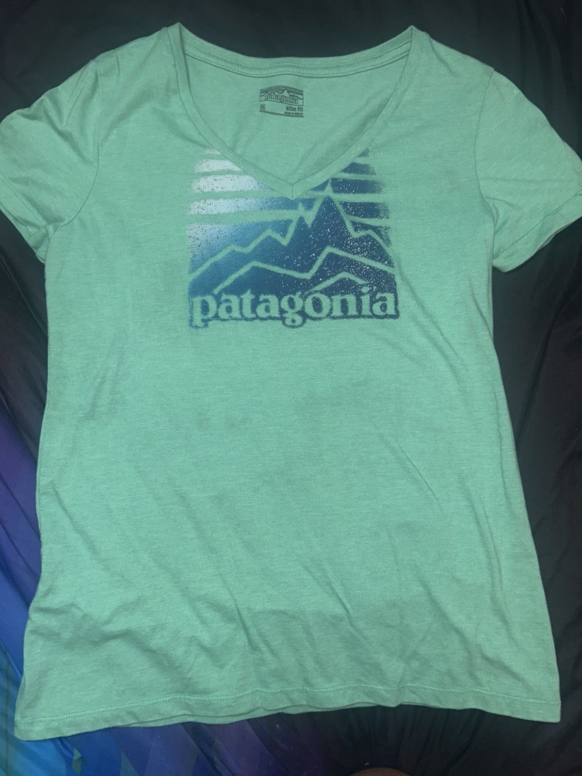 Patagonia Women’s Distressed Logo T-Shirt Green Size Medium Short Sleeve