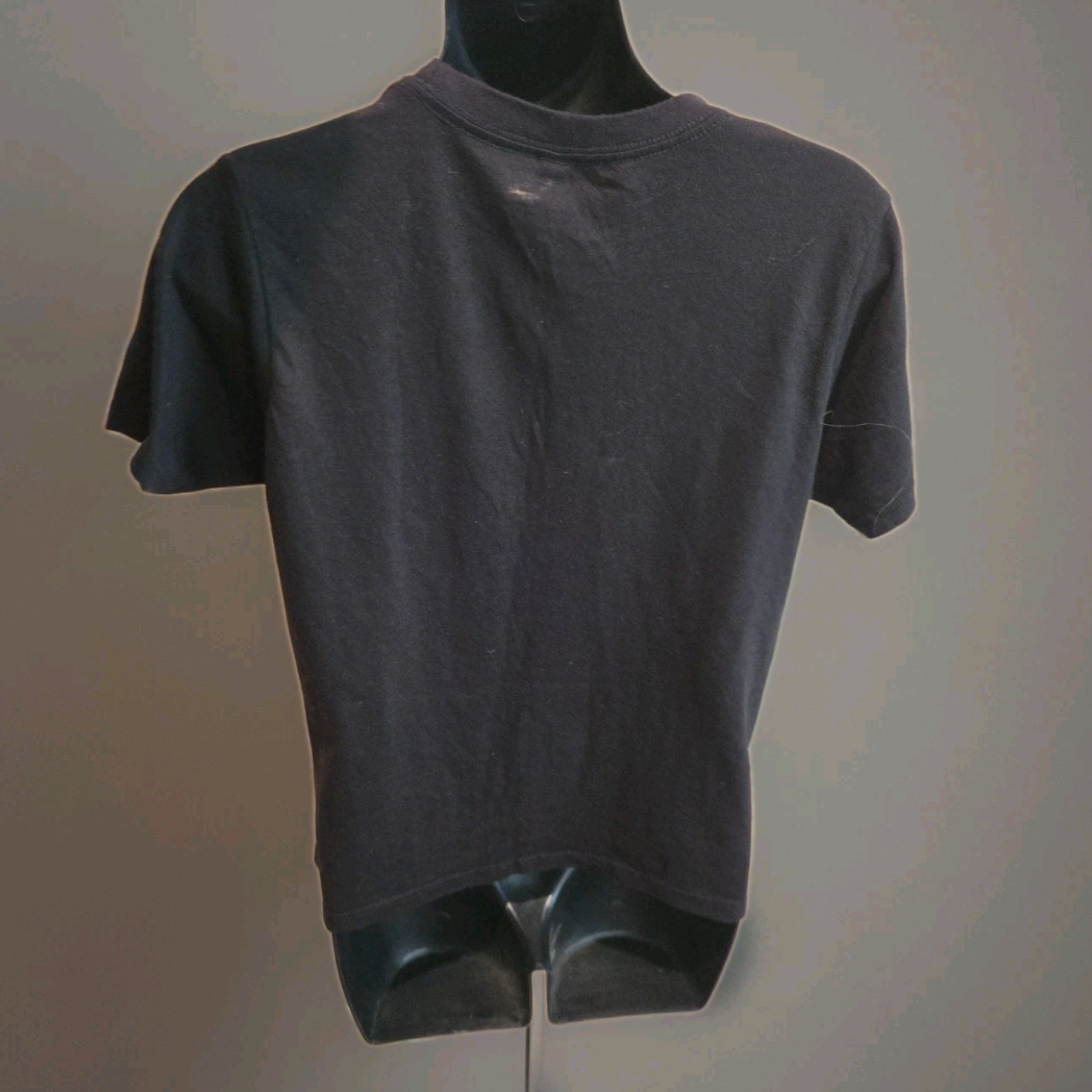 Size L T Shirt David Crowder Run Devil Run Tultex Pre Shrunk