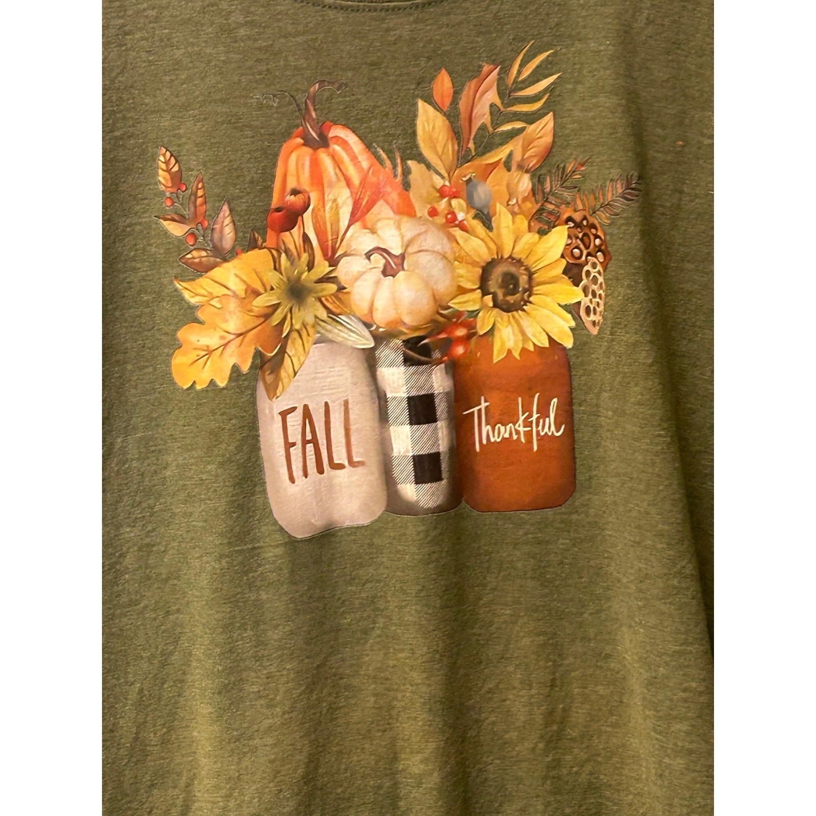 Hanes Fall Thankful Pumpkin Graphic T Shirt Green Medium
