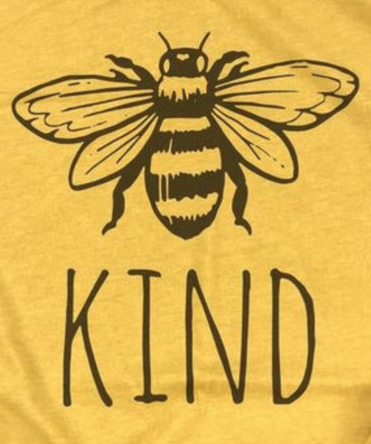 Bee Kind T-Shirt Bella Canvas Tee Shirt Sizes XS – 2XL New
