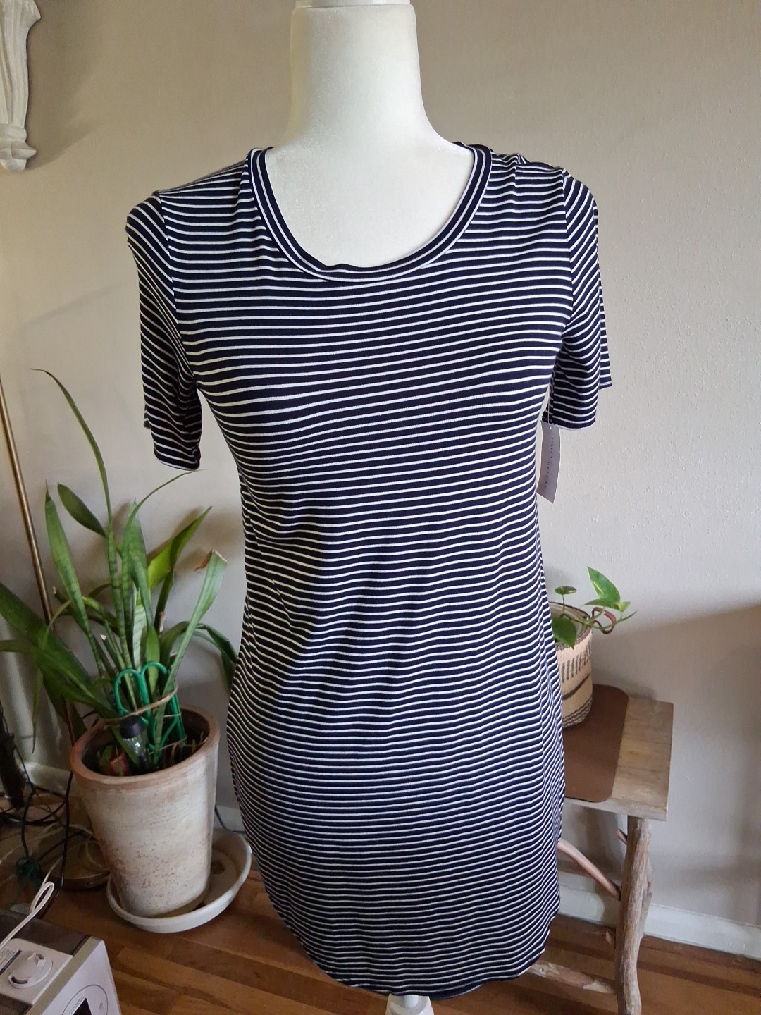 Daily Ritual Women XSmall Short Sleeve T-Shirt Blue White Stripe Hi-Lo New NWT
