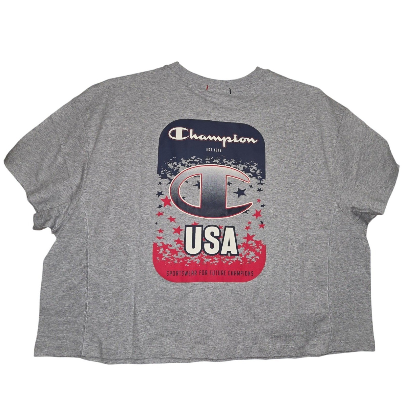 Champion USA Winter Collection Cropped T-Shirt Gray Gold Logo Stars Large