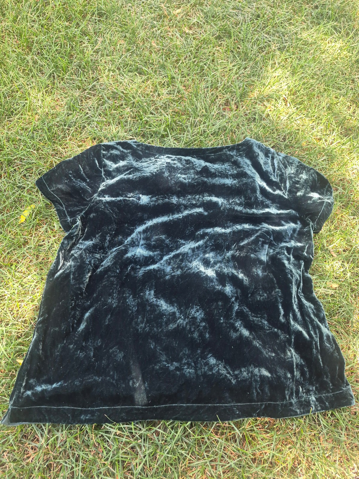 Eileen Fisher Silk Rayon Velvet XL Bateau Neck Short Sleeve Top Pine Green