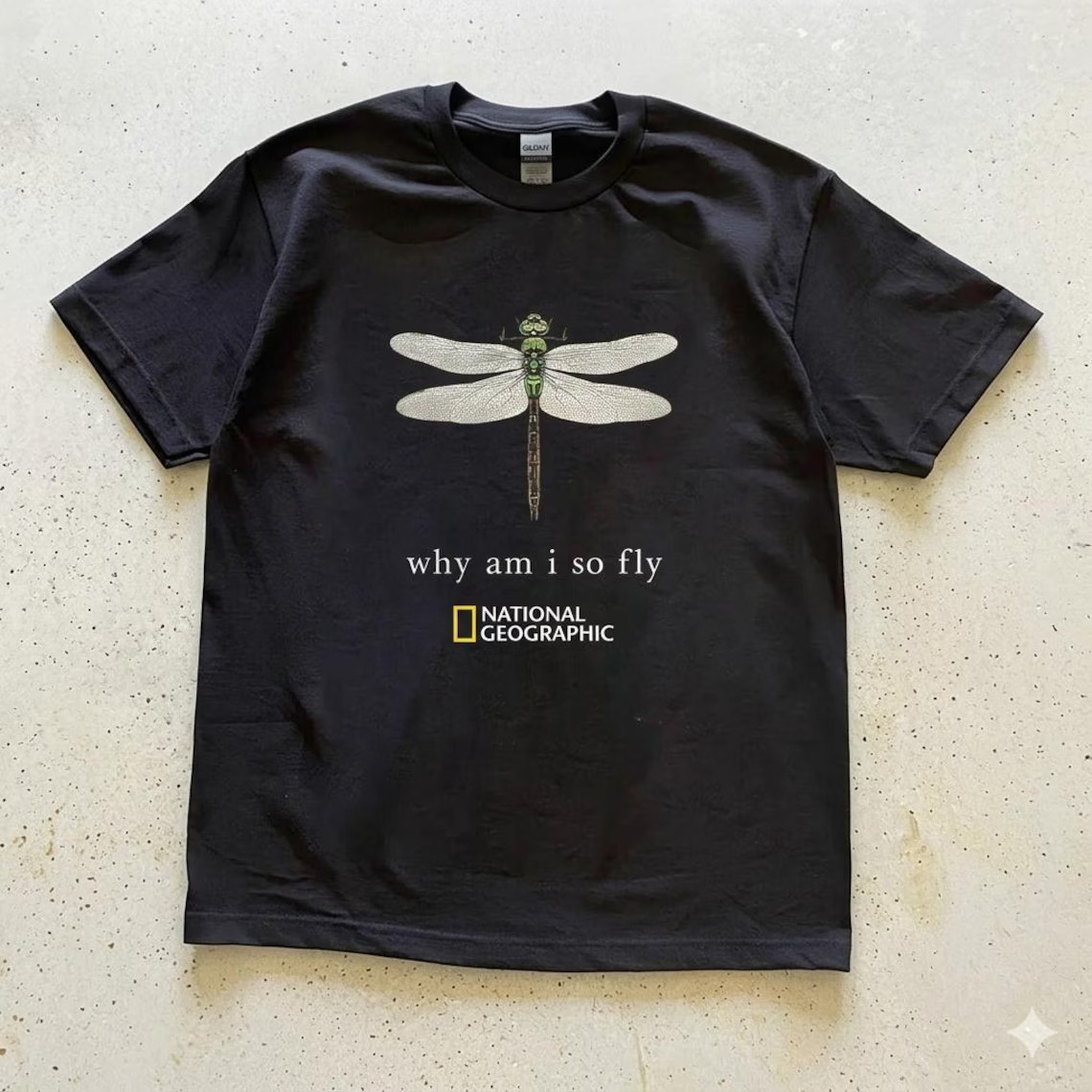 Vintage National Geographic Dragonfly Shirt, Why Am I So Fly Tee, Retro Nature G