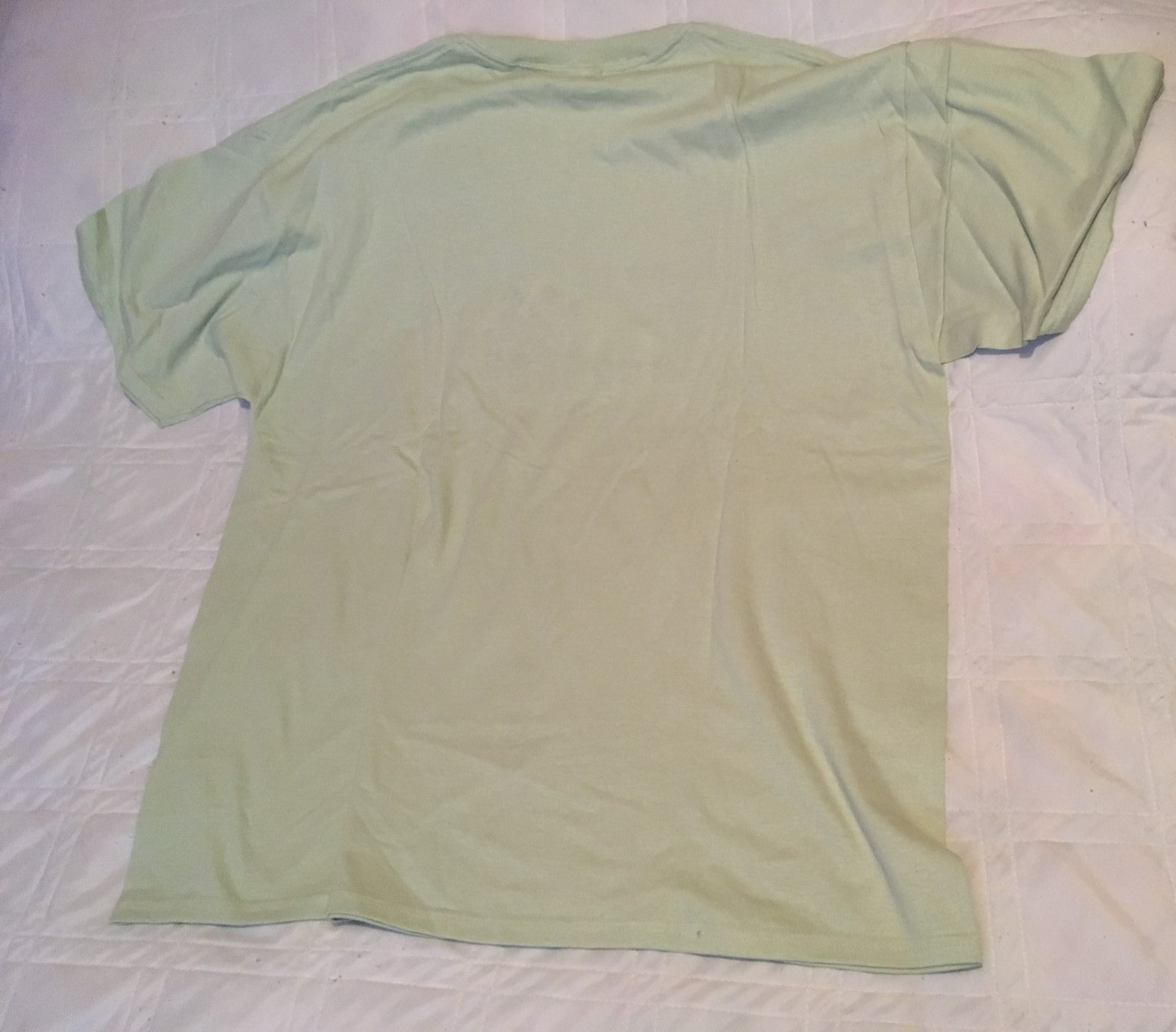 Jerzees pale green cotton/poly tee, embroidered plants, woman’s size XL
