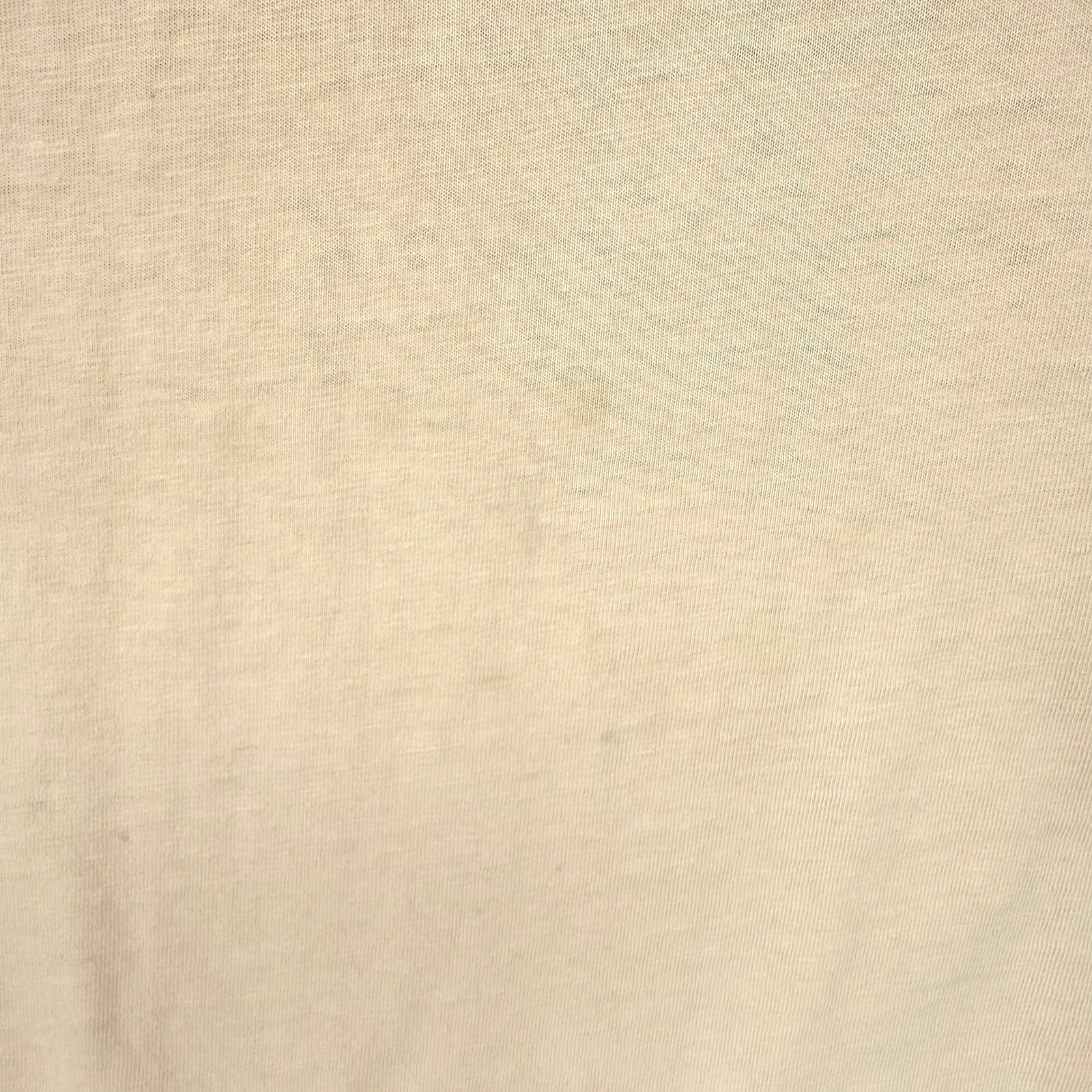Vintage Nature Conservancy Tee Medium Cream Pine Butte Swamp Preserve Crew Neck