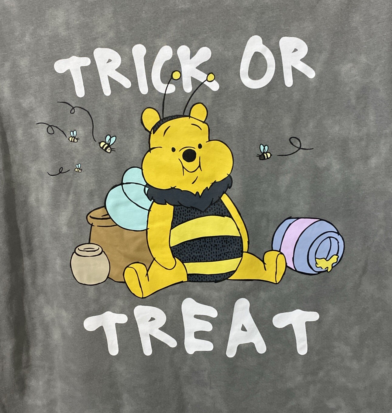 Winnie the Pooh Women’s “Trick or Treat” Halloween Tee Shirt Gray Wash XS (0-2)