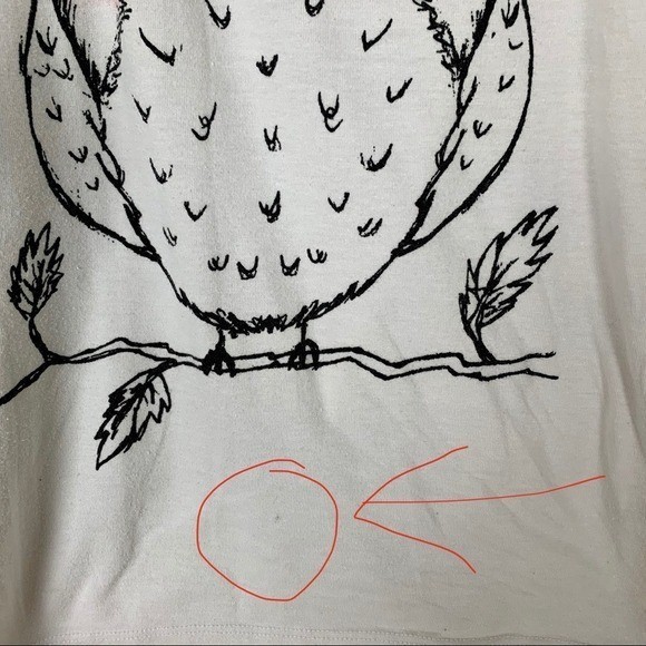 AS-IS Zenana Outfitters Cute Owl Graphic Scoop Neck Tee Large